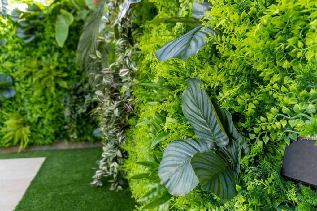 Primer plano de hojas grandes y follaje fino combinados en un jardín vertical