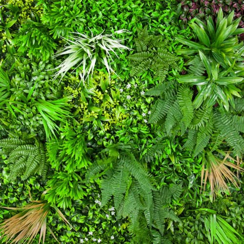 Primer plano de la textura y variedad de hojas de un jardín vertical